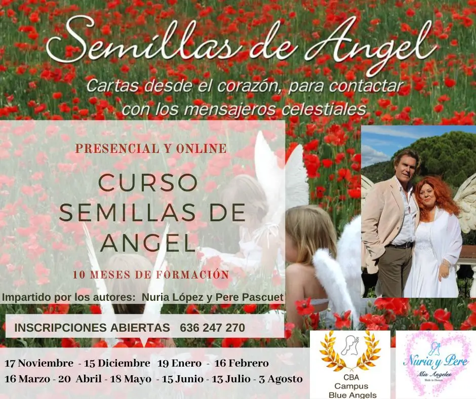 Curso de Semillas de angel presencial Retiro espiritual de Verano